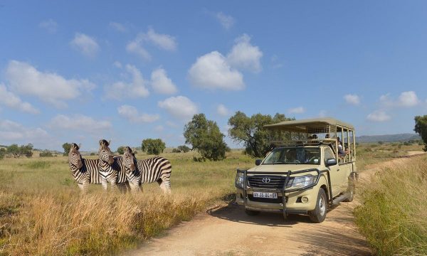 johannesburg zoo tourism