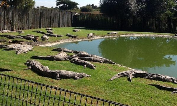 johannesburg zoo tourism