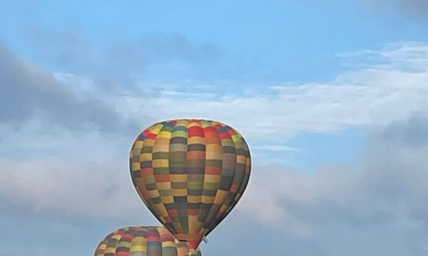 Bill Harrop's "Original" Balloon Safaris 