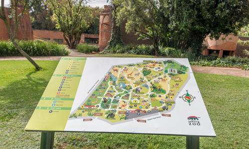 Explore Johannesburg Zoo The Ultimate Wildlife Adventure!