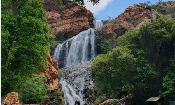 Walter Sisulu National Botanical Garden 