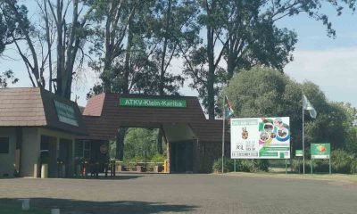 Joburg family gets refund from “racist” Polokwane lodge after horror Easter weekend stay