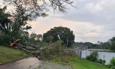 Thunderstorm leaves trail of damage in and around Empangeni