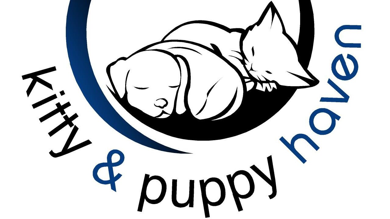 Kitty and Puppy Haven -Kitty and Puppy Haven Animal Shelter Robbed