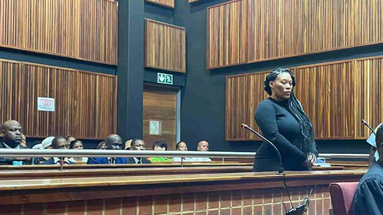 Judge Mdalana-Mayisela postponed the Swartbooi case