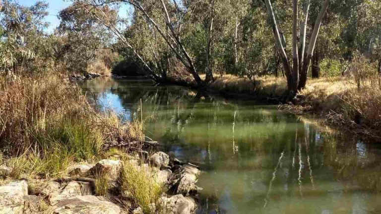 sewage spill in Blesbokspruit