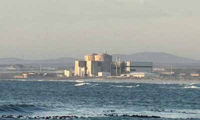 Koeberg nuclear power plant service delays