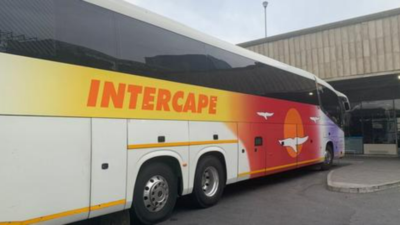 Calls for Government Intervention in Intercape Bus Attacks