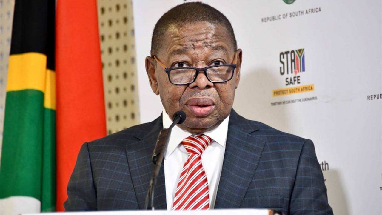 Dr Blade Nzimande will visit Japan