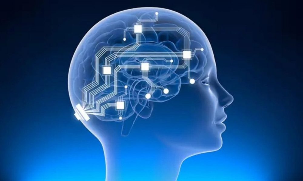 Neuralink will start human brain implant trials