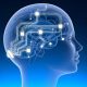 Neuralink will start human brain implant trials