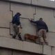 dog was rescued from a ledge