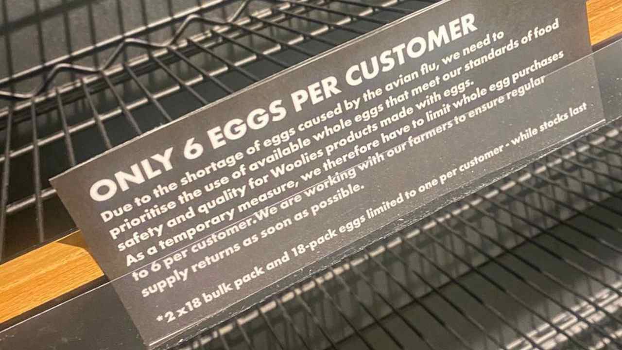 egg shortage in Pretoria