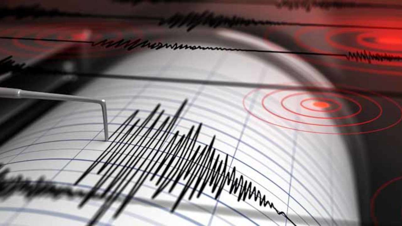 tremor in Gauteng