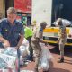 R26 million bust