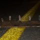 road spikes in Gauteng