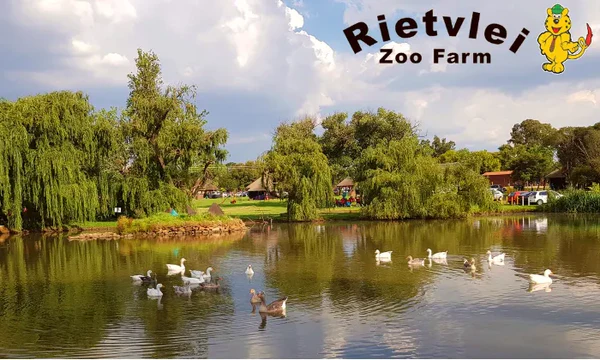 Rietvlei Zoo Farm, Rietvlei Zoo Farm Johannesburg, Johannesburg outdoor activities, family picnic spots Joburg, braai areas Johannesburg, nature trails Joburg, venue hire South Johannesburg, educational farm visits, things to do in Johannesburg, outdoor venues Joburg, kids activities Joburg, South Johannesburg attractions, Rietvlei Trails, picnic spots Johannesburg, Joburg ETC