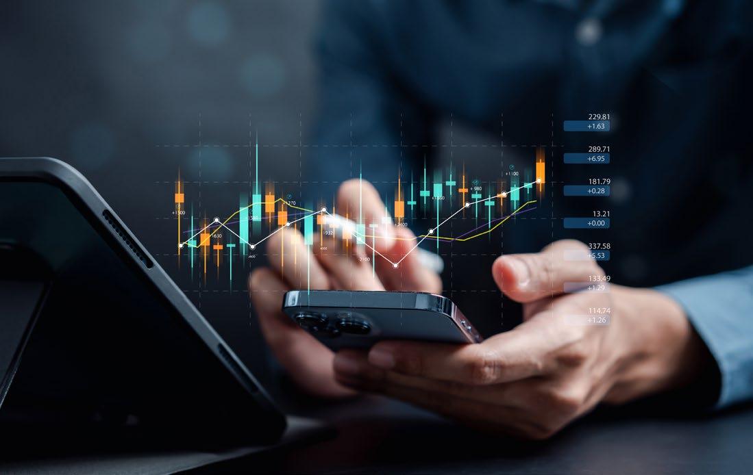 JSE 2025 performance, South African stocks, outperforming S&P 500, rand strength, gold mining rally, Trump South Africa tariffs, Nicholas De Clercq, Joburg ETC