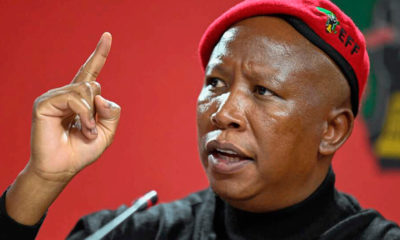 Julius Malema South African politician, EFF net worth Julius Malema, Malema Range Rovers, Julius Malema parliament salary, Malema corruption allegations, South African political wealth, Julius Malema 2025 assets, Malema lifestyle breakdown, Joburg ETC