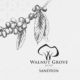 walnut grove sandton, rainbow cake sandton, boutique dining johannesburg, best restaurants sandton, walnut grove menu 2025, award-winning coffee sandton, cherry blossom gin cocktail, kids milkshakes walnut grove, luxury cafes sandton, Joburg ETC