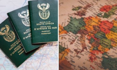South African emigration, white South Africans leaving, 2025 population trends, Stats SA data, Gauteng population, Covid impact on population, UN migrant report, skilled worker migration, international relocation, Joburg ETC