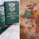 South African emigration, white South Africans leaving, 2025 population trends, Stats SA data, Gauteng population, Covid impact on population, UN migrant report, skilled worker migration, international relocation, Joburg ETC