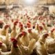 Public Investment Corporation loan, Daybreak Foods pension news, South African pension concerns, state fund bailout 2025, Woolworths share drop, SABC funding, Joburg ETC