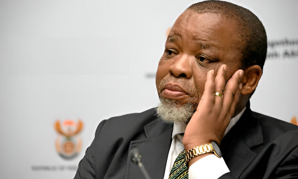 Gwede Mantashe court case, false social media claims, Zuma defamation case, TikTok political allegations, Joburg High Court decision, mineworkers compensation story, legal news South Africa, Joburg ETC