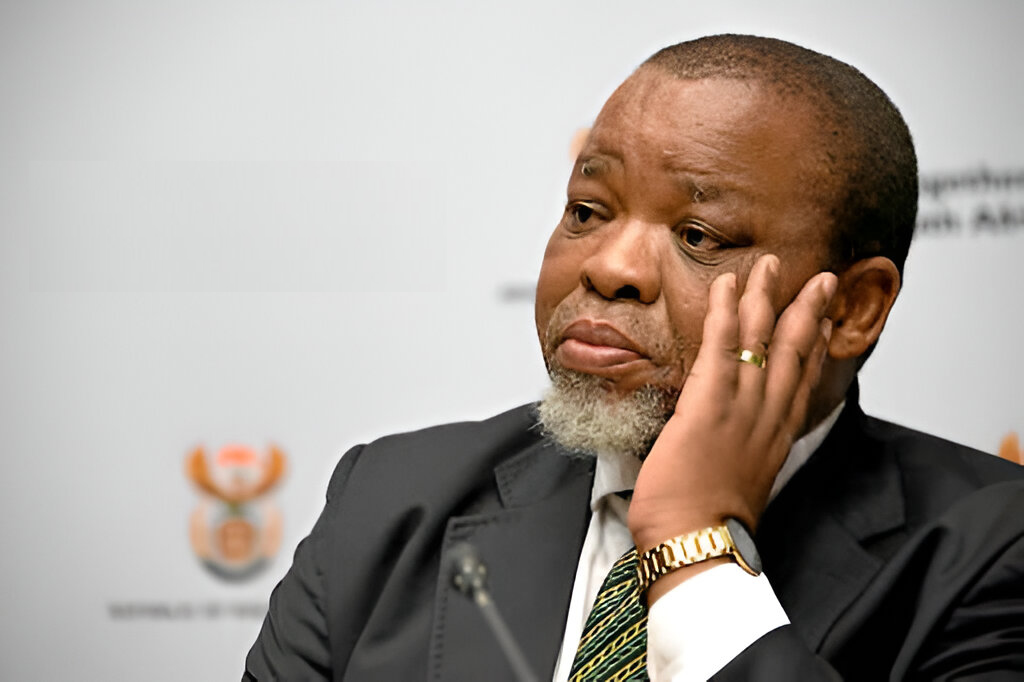 Gwede Mantashe court case, false social media claims, Zuma defamation case, TikTok political allegations, Joburg High Court decision, mineworkers compensation story, legal news South Africa, Joburg ETC