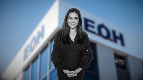 fake PhD scandal South Africa, Anushka Bogdanov news, JSE integrity ruling, director fined R500000, corporate governance SA, EOH IOCO board scandal, Thabi Leoka comparison, Joburg ETC