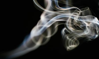 child filmed smoking drugs, Joburg viral crime video, mother child neglect, SAPS FCS child rescue, mandrex abuse South Africa, JMPD K9 arrests, Gauteng child protection, South African parenting crisis, drug abuse video Joburg, Joburg ETC