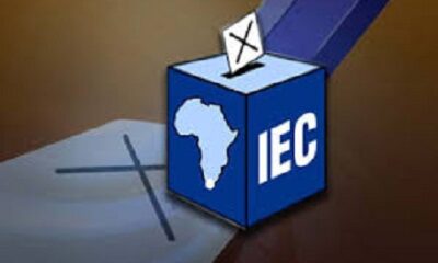 IEC 2026 Local Government Elections