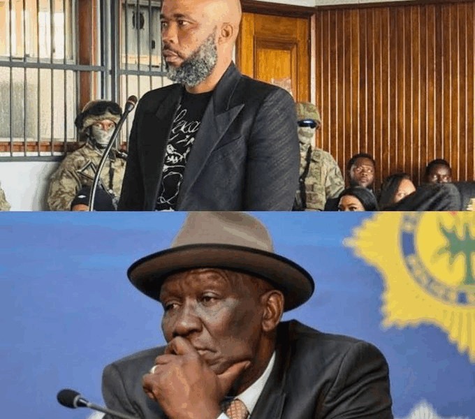 Parliament vs Madlanga Commission