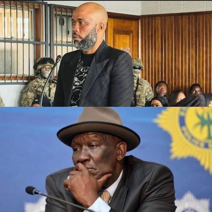 Parliament vs Madlanga Commission