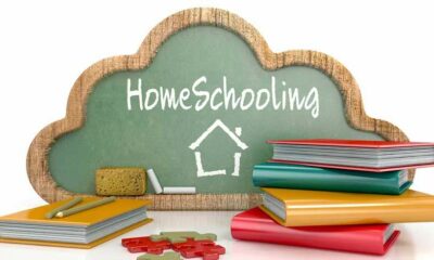 homeschooling South Africa, online high school South Africa, rising school fees, alternatives to public schools, flexible education options, Gauteng homeschool trend, legal homeschooling South Africa, Joburg ETC