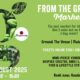 From the Ground Market Muldersdrift, live music Joburg, food trucks Johannesburg, family-friendly Gauteng markets, artisan stalls Joburg, farm produce Muldersdrift, picnic day out Gauteng, Ground The Venue events, winter markets Johannesburg, Joburg ETC