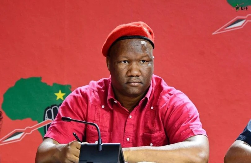 EFF, Madlanga, police inquiry, public spending, Zondo Commission, inquiry venue costs, R147.9 million, Dlamini letter, Parktown venue, municipal halls, corruption inquiry, South African justice, public accountability, transparency, Joburg ETC