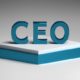 CEO wage gap South Africa, Harmony Gold wage ratio, Investec pay disparity, Woolworths CEO pay, Shoprite wage inequality, Just Share report, Companies Amendment Act, 2025 wage transparency, JSE Top 40 wage gap, Joburg ETC