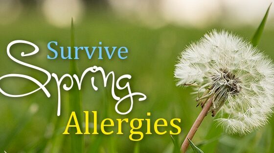 spring allergies South Africa 2025, pollen season Johannesburg, hay fever remedies, nasal sprays and antihistamines, pollen count advice Joburg, allergy management tips