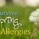 spring allergies South Africa 2025, pollen season Johannesburg, hay fever remedies, nasal sprays and antihistamines, pollen count advice Joburg, allergy management tips