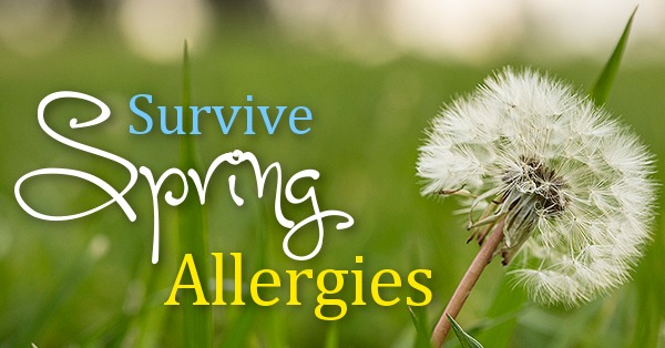 spring allergies South Africa 2025, pollen season Johannesburg, hay fever remedies, nasal sprays and antihistamines, pollen count advice Joburg, allergy management tips