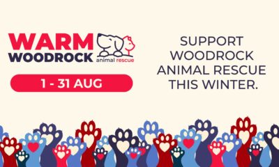 Clearwater Mall winter drive, Woodrock Animal Rescue support, pet food donations Joburg, animal rescue blankets toys, community giving Johannesburg, Joburg ETC