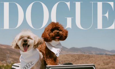 Sabrina Carpenter dogs, Goodwin, Louie, Dogue cover, celebrity pets photoshoot, tiara dog photo, pearl collar dogs, Sabrina Carpenter pop star pets, Joburg ETC