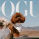 Sabrina Carpenter dogs, Goodwin, Louie, Dogue cover, celebrity pets photoshoot, tiara dog photo, pearl collar dogs, Sabrina Carpenter pop star pets, Joburg ETC