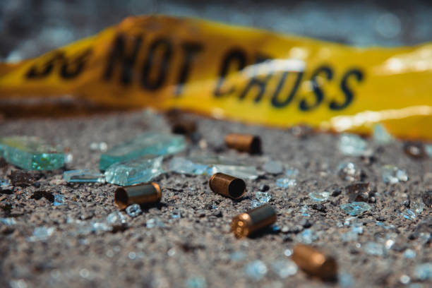 Lotus River shooting, Cape Town crime scene, Fifth Avenue incident, SAPS investigation, gang violence concerns, Donovan Nelson statement, Joburg ETC