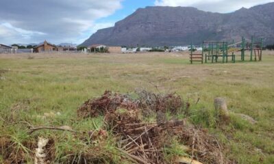 Coniston Park protest, Coniston Park seniors, Steenberg school construction, WCED new school project, Coniston Park residents oppose school, Cape Town community protest, Coniston Park traffic concerns, Joburg ETC