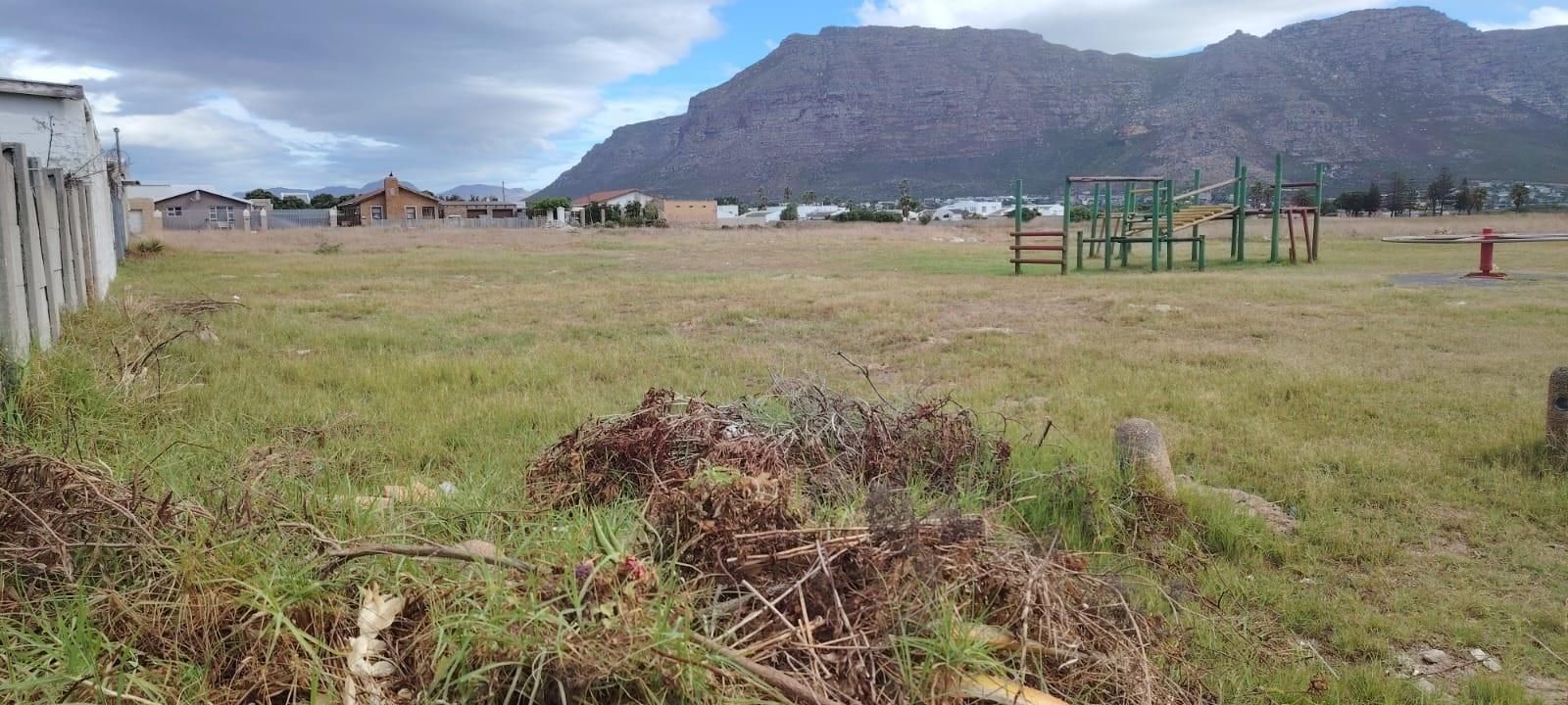 Coniston Park protest, Coniston Park seniors, Steenberg school construction, WCED new school project, Coniston Park residents oppose school, Cape Town community protest, Coniston Park traffic concerns, Joburg ETC