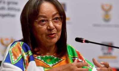 Patricia de Lille tourism board, South African Tourism dissolved, SAT board controversy, OUTA response De Lille, DA criticises De Lille 2025, parliamentary summons tourism, Lawson Naidoo SAT, tourism governance South Africa, Nombulelo Guliwe CEO, Joburg ETC