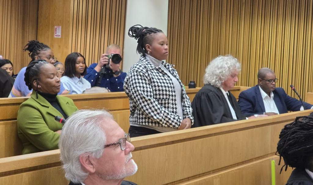 Joshlin Smith case witness, court testimony, Western Cape High Court, Saldanha kidnapping trial, witness protection, legal immunity request, Section 204 witness, courtroom scene, South African crime news, Joburg ETC