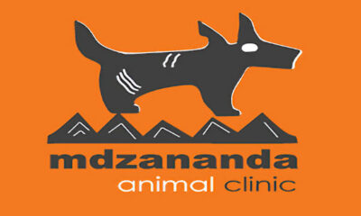 Mdzananda Animal Clinic Khayelitsha, truck crash Cape Town, damaged surgical theatre, Khayelitsha vet clinic, Cape Town animal welfare, Joburg ETC